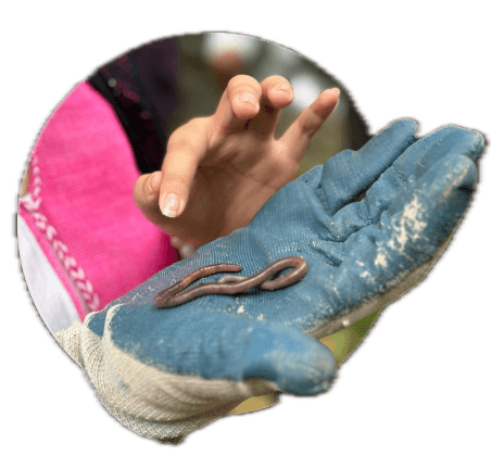 Hands holding an earthworm during a ROOT community activity